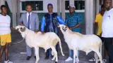 cote divoire tabaski ibrahim konate offre une centaine de moutons aux imams de port bouet